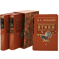Мензбир М. Охотничьи и промысловые птицы Европейской России и Кавказа  (3 тома, футляр)
