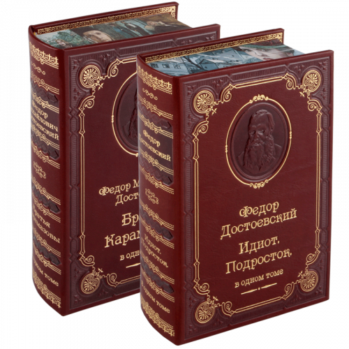 Достоевский Ф.М. Избранное - 2 тома